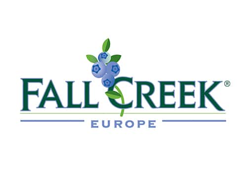 Fall Creek Europe Master Negocios Internacionales Sevilla Cajasol